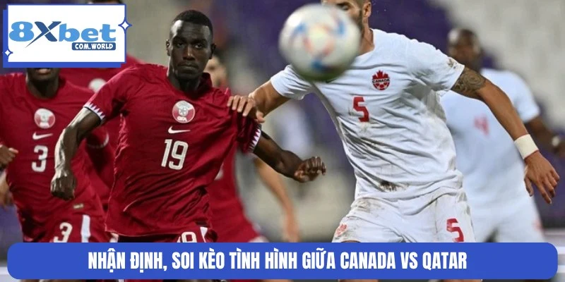 Nhận Định Canada Vs Qatar World Cup Lúc 05:00 19/06 8XBET 3 Nhận định tỷ lệ cược chính xác cặp Canada và Qatar